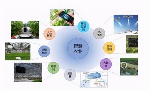 智慧农业中的数据处理服务 赋能现代农业的四大关键点